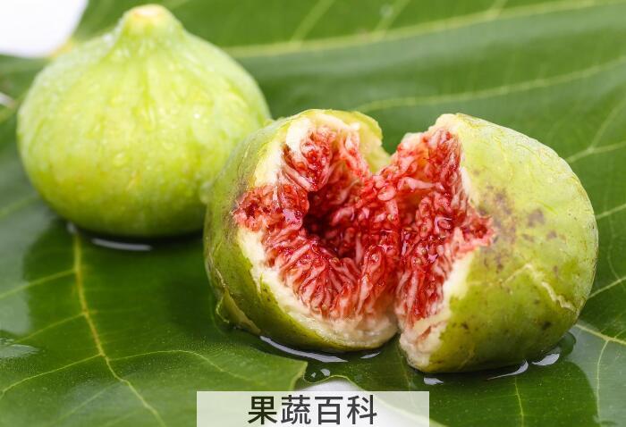 无花果的功效与作用，既利咽又健胃