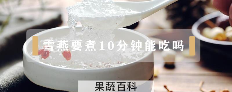 雪燕要煮10分钟能吃吗