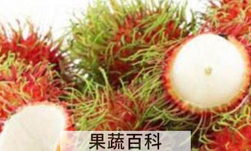 红毛丹怎么吃 红毛丹的家常食用方法