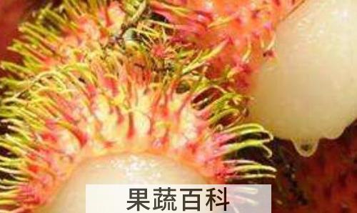 红毛丹怎么吃 红毛丹的家常食用方法