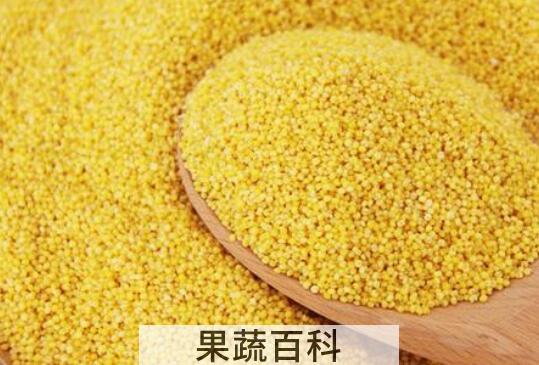 粟米和黍米的区别
