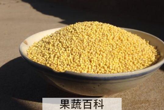 糜子和黄米的区别 吃黄米的好处