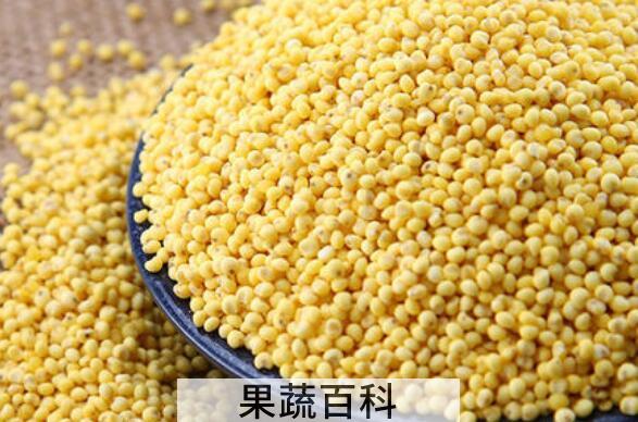 糜子和黄米的区别 吃黄米的好处