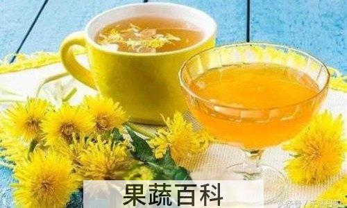蒲公英蜂蜜水