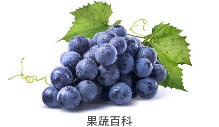孕妇吃什么水果好，孕期三个阶段这样吃水果对身体更好
