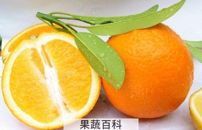 橙子的功效与作用，原来橙子皮好处那么多