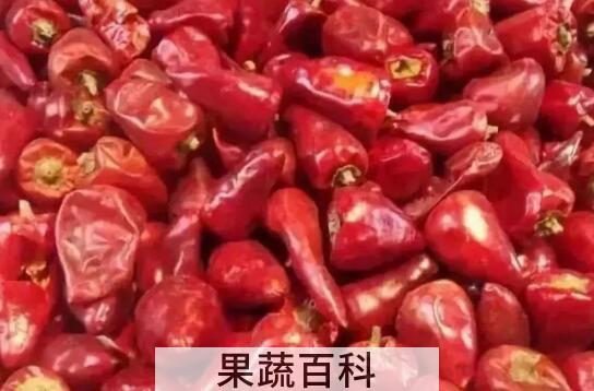 子弹头和二荆条的区别