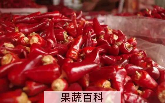 子弹头和朝天椒的区别