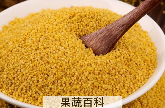 白小米和黄小米的区别