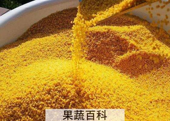 白小米和黄小米的区别