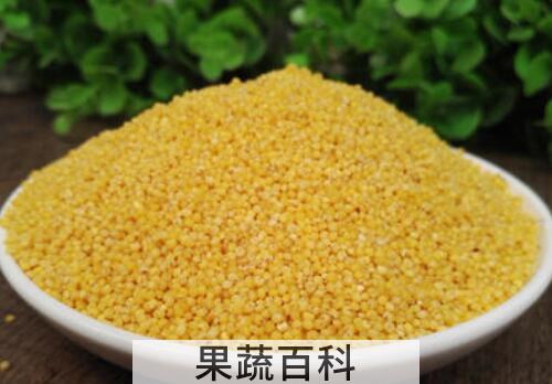 大黄米糯性和粳性的区别