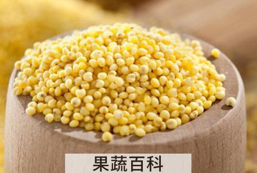 大黄米糯性和粳性的区别