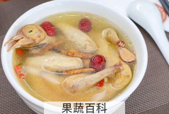 鸽子汤的功效与作用 鸽子汤怎么做好喝