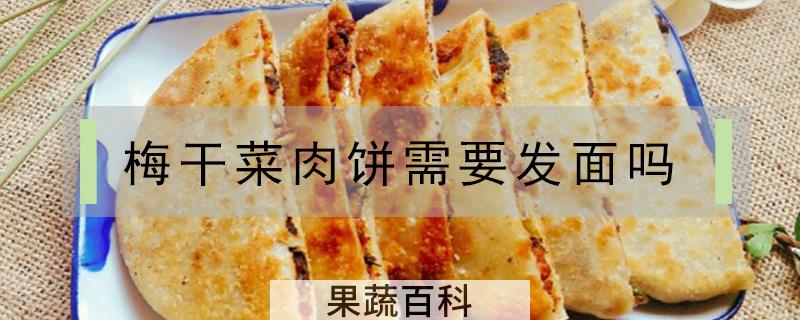 梅干菜肉饼需要发面吗