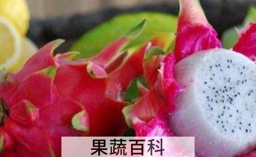 火龙果怎么吃 火龙果的正确食用方法