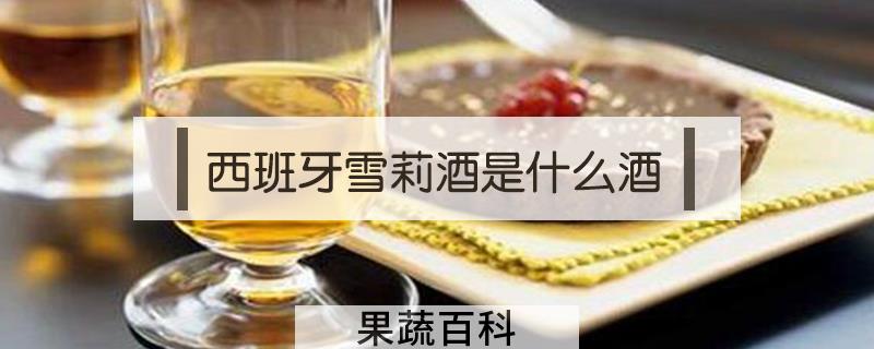 西班牙雪莉酒是什么酒
