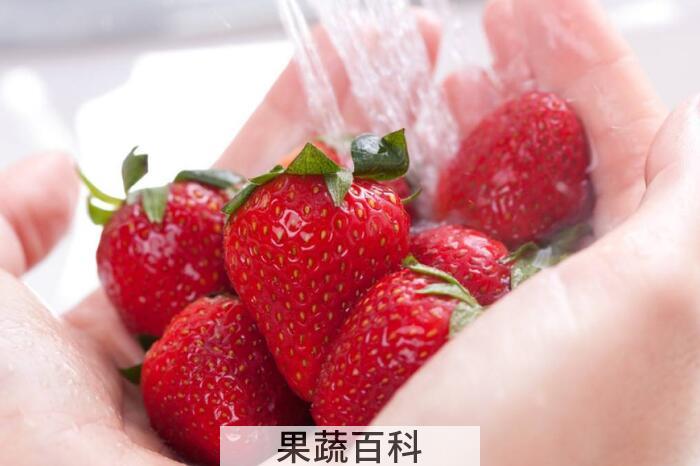 草莓可以用小苏打洗吗？三种科学清洗草莓的方法推荐