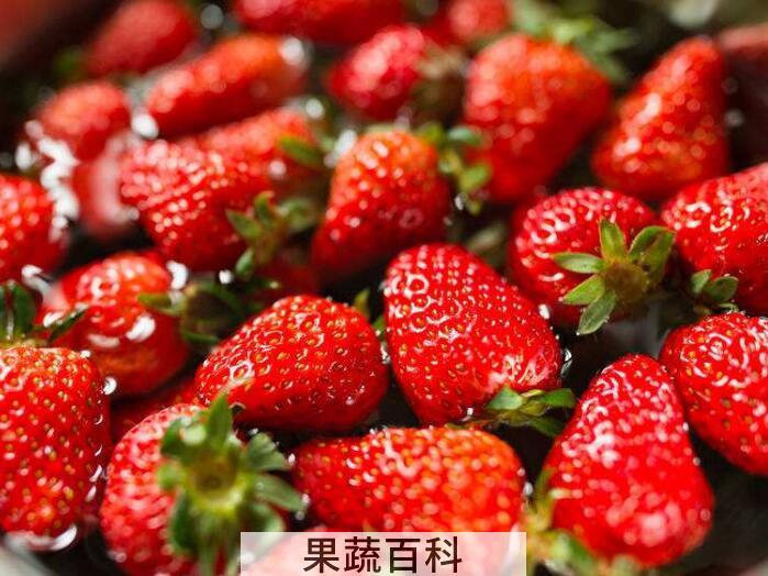 草莓可以用小苏打洗吗？三种科学清洗草莓的方法推荐