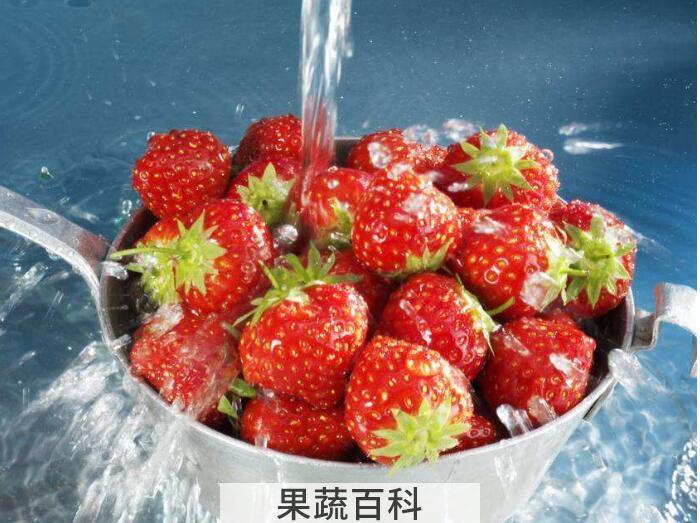 草莓可以用小苏打洗吗？三种科学清洗草莓的方法推荐