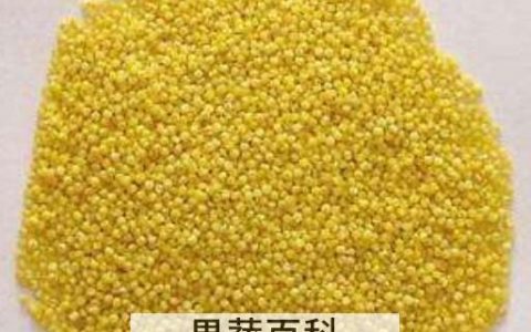 糜子和小米的区别 糜子的功效与作用