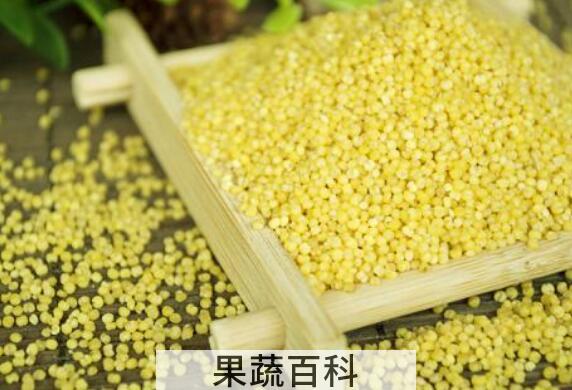小米和糜子的区别
