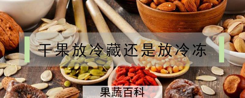 干果放冷藏还是放冷冻