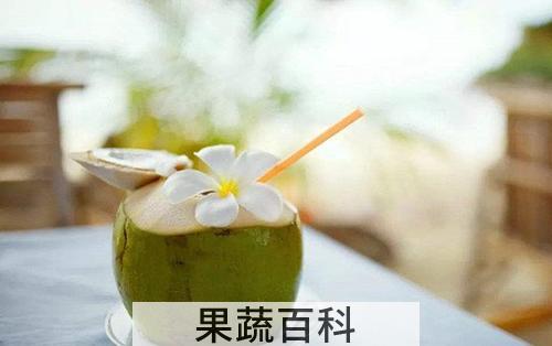 椰子水的功效与作用 椰子水的禁忌