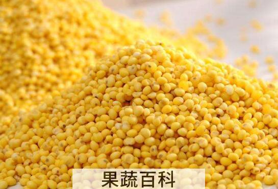 大黄米的功效与作用 吃大黄米的好处