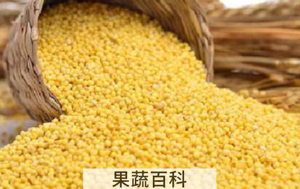 大黄米的功效与作用 吃大黄米的好处