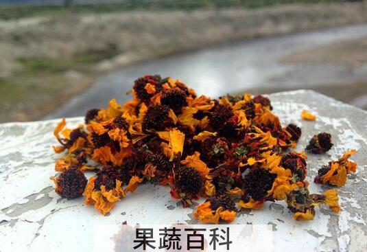 天山胎菊的功效与作用