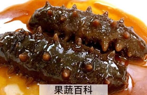 红海参的功效与作用 红海参的食用方法