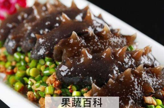 红海参的功效与作用 红海参的食用方法
