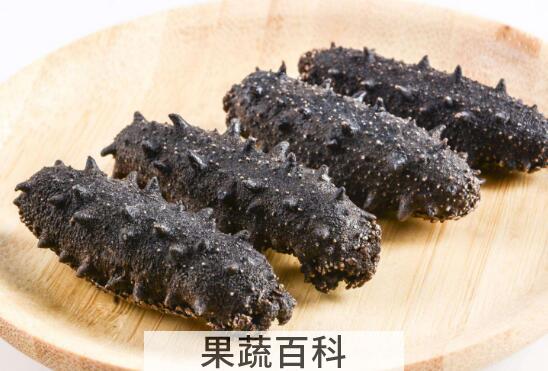 红海参和海参有什么区别