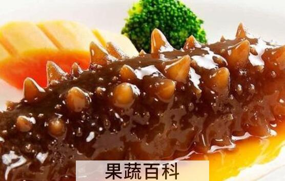红海参和海参有什么区别