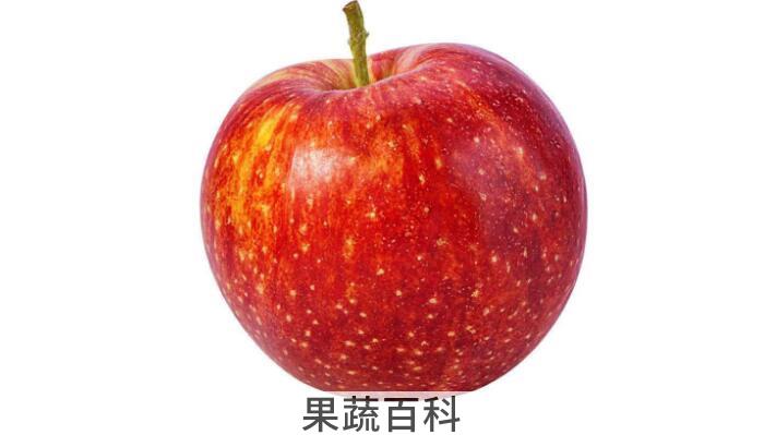 苹果选果相关知识，教你如何一眼看新鲜的苹果？