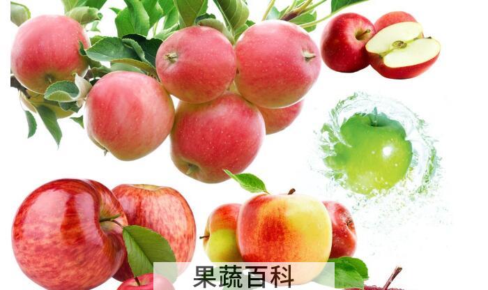 苹果选果相关知识，教你如何一眼看新鲜的苹果？