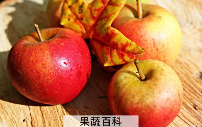苹果的营养价值及食用功效，每天一苹果吃出幸福与健康