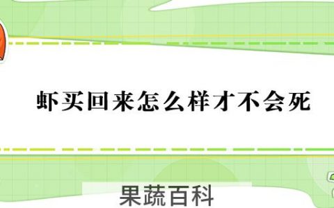 虾买回来怎么样才不会死