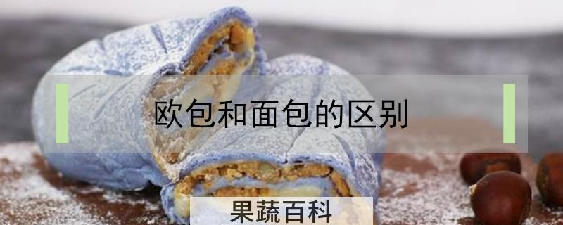 欧包和面包的区别