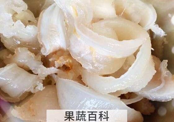 干鱼胶怎么泡发 干鱼胶的正确泡发方法