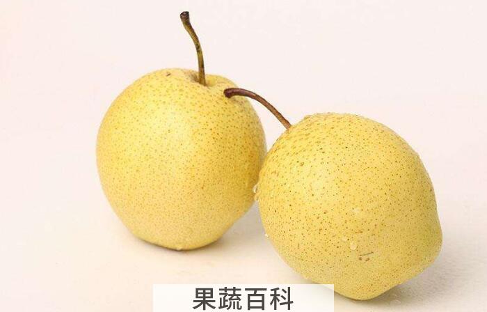 梨子的功效与作用，常吃梨子健康又防病