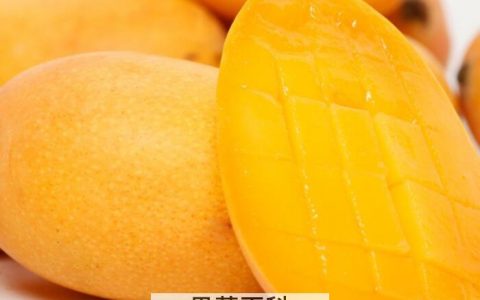 芒果的功效与作用多吗，止晕止吐还能防便秘！