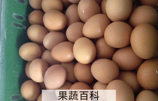 鸽子蛋和鸡蛋营养对比