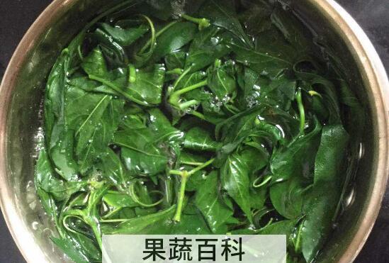 辣椒叶的功效与作用及禁忌