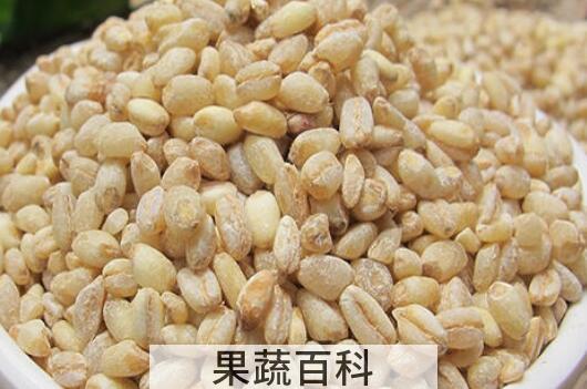 大麦米的功效与作用