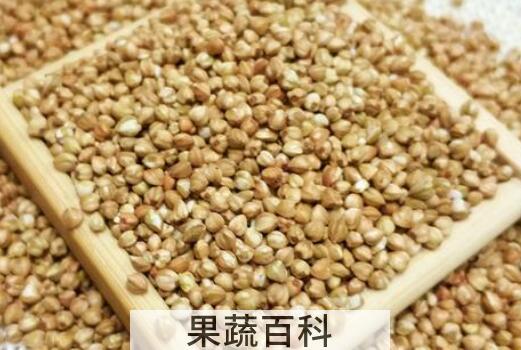 米荞与苦荞的区别 米荞 的食用功效