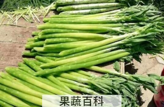 贡菜和莴笋的区别 贡菜的吃法