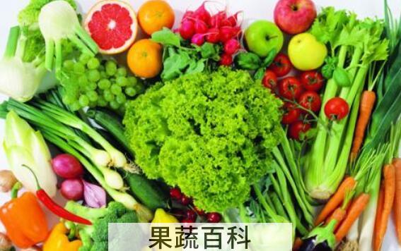 最适宜生吃的蔬菜