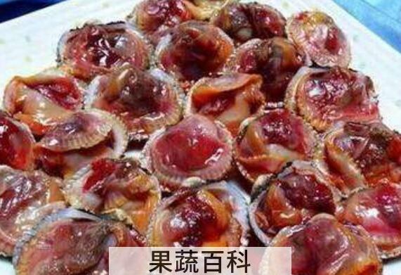 血蛤怎么吃 血蛤如何才能安全食用