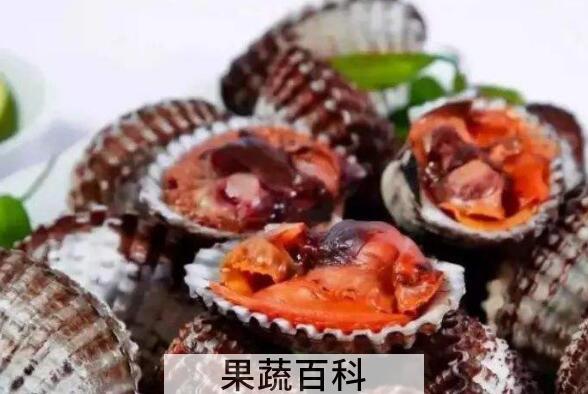 血蛤怎么吃 血蛤如何才能安全食用